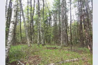 Kosir Lane, Athelstane, WI 54104 - Photo 8