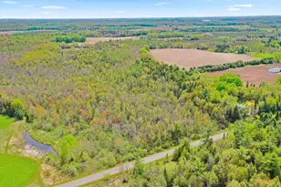 N9968 Hemlock Rd, Birnamwood, WI 54414 - Photo 52