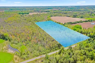 N9968 Hemlock Rd, Birnamwood, WI 54414 - Photo 16