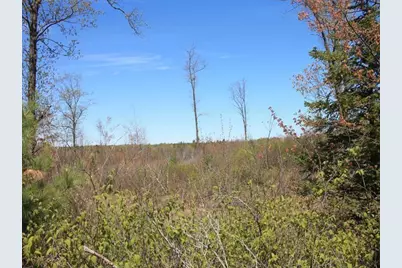 19081 N Erickson Road, Dunbar, WI 54119 - Photo 46