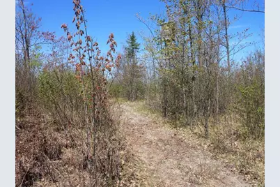 19081 N Erickson Road, Dunbar, WI 54119 - Photo 22