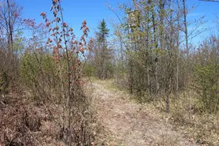 19081 N Erickson Rd, Dunbar, WI 54119 - Photo 22