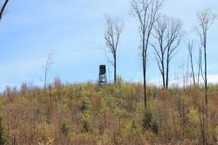 19081 N Erickson Rd, Dunbar, WI 54119 - Photo 58