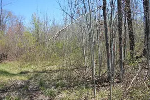 19081 N Erickson Rd, Dunbar, WI 54119 - Photo 40