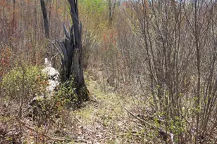 19081 N Erickson Rd, Dunbar, WI 54119 - Photo 32