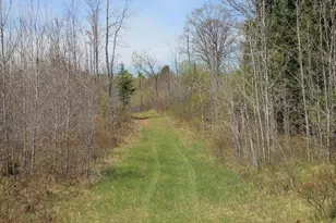 19081 N Erickson Rd, Dunbar, WI 54119 - Photo 50