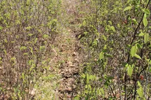 19081 N Erickson Rd, Dunbar, WI 54119 - Photo 42