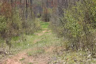 19081 N Erickson Rd, Dunbar, WI 54119 - Photo 28