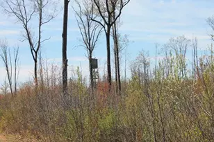 19081 N Erickson Rd, Dunbar, WI 54119 - Photo 20