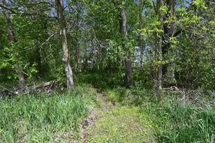 6478 Main St, Abrams, WI 54101 - Photo 52
