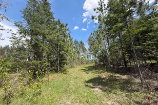 W6486 Snow Rd, Daggett, MI 49821 - Photo 26