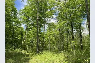 N13092 Limberg Lane, Athelstane, WI 54104 - Photo 18