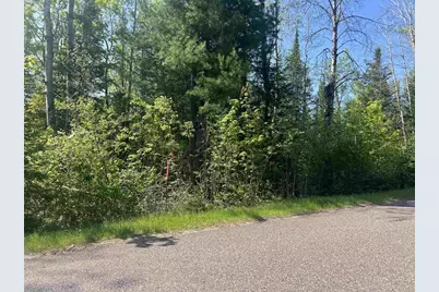 Forest Hill Drive, Townsend, WI 54175 - Photo 2