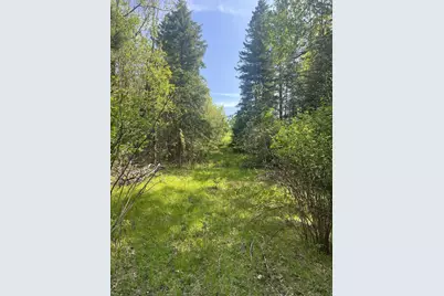 Forest Hill Drive, Townsend, WI 54175 - Photo 4