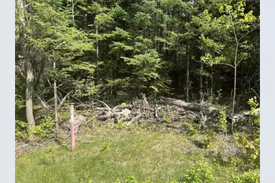 Forest Hill Drive, Townsend, WI 54175 - Photo 8