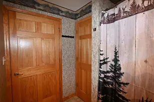 15444 State Hwy 32, Lakewood, WI 54138 - Photo 44