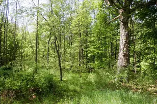 455 Bialozynski Rd, Pulaski, WI 54162 - Photo 48
