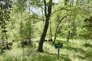 455 Bialozynski Rd, Pulaski, WI 54162 - Photo 44