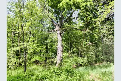 455 Bialozynski Road, Pulaski, WI 54162 - Photo 48