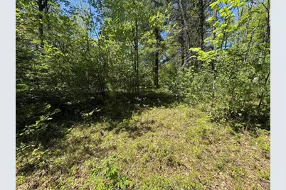 W10285 Cole Creek Lane, Dunbar, WI 54119 - Photo 26