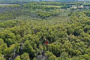 N6814 Springbrook Rd, Cecil, WI 54111 - Photo 14