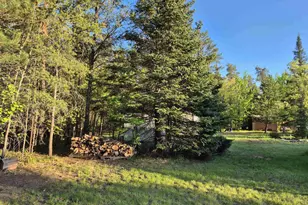 W11281 Halhweg Rd, Athelstane, WI 54104 - Photo 10