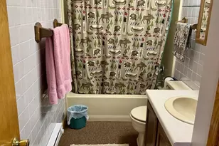 14751 Hatchery Ln, Lakewood, WI 54138 - Photo 10