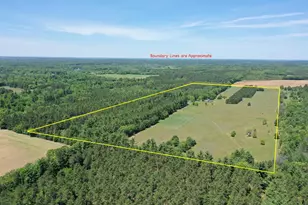 W4301 Cty Rd A, Pine River, WI 54965 - Photo 6