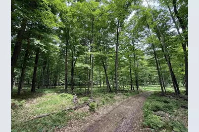 N7794 Kolpack Lane, Bowler, WI 54416 - Photo 28