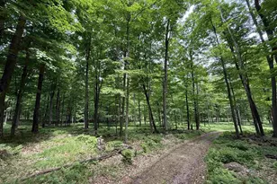 N7794 Kolpack Ln, Bowler, WI 54416 - Photo 28