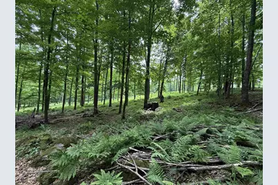 N7794 Kolpack Lane, Bowler, WI 54416 - Photo 30