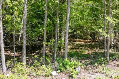 Hwy 57, Sister Bay, WI 54234 - Photo 6