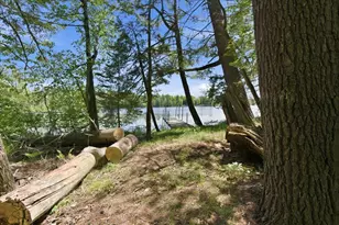 14754 N McComb Lake Ln, Mountain, WI 54149 - Photo 54
