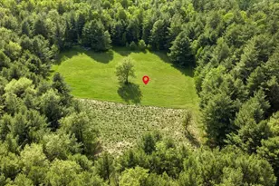 14754 N McComb Lake Ln, Mountain, WI 54149 - Photo 82