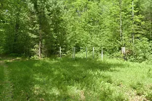 14754 N McComb Lake Ln, Mountain, WI 54149 - Photo 62