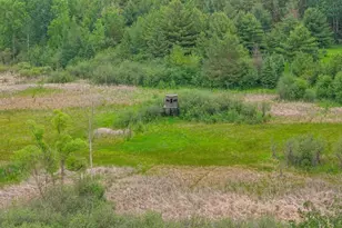 W6536 W 38th Ave N 1 25, Menomonie, MI 49858 - Photo 74