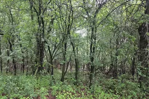 N4463 County Rd MM, Wautoma, WI 54982 - Photo 32