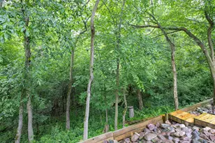 N7914 Creekside Dr, Sherwood, WI 54169 - Photo 56