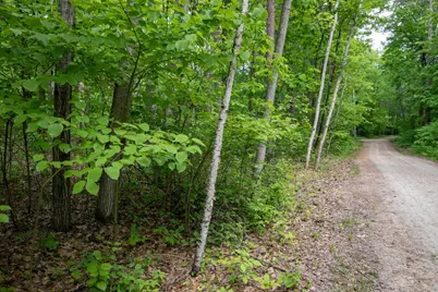 Pine Tree Road, Sturgeon Bay, WI 54235 - Photo 6