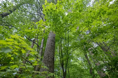Pine Tree Road, Sturgeon Bay, WI 54235 - Photo 8