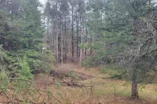 N9332 Deer Lake Rd, Crivitz, WI 54114 - Photo 42