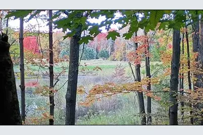 Spring Lake Drive, Sobieski, WI 54171 - Photo 6