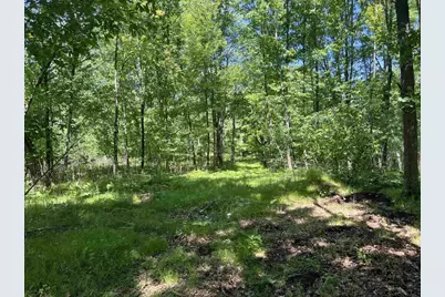 Rhett Lane, Wausaukee, WI 54177 - Photo 2