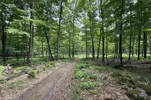 N7794 Kolpack Ln, Bowler, WI 54416 - Photo 1