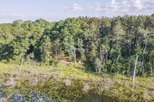 N6958 N Lake Dr, Wild Rose, WI 54984 - Photo 6