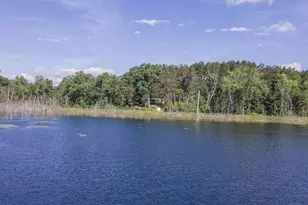 N6958 N Lake Dr, Wild Rose, WI 54984 - Photo 16