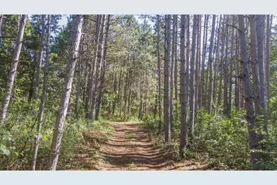 N6958 N Lake Drive, Wild Rose, WI 54984 - Photo 14