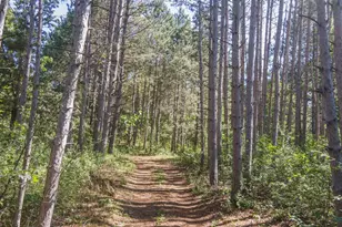 N6958 N Lake Dr, Wild Rose, WI 54984 - Photo 14
