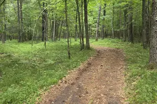 N13300 Pike River Rd, Wausaukee, WI 54177 - Photo 20