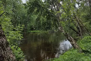 N13300 Pike River Rd, Wausaukee, WI 54177 - Photo 28